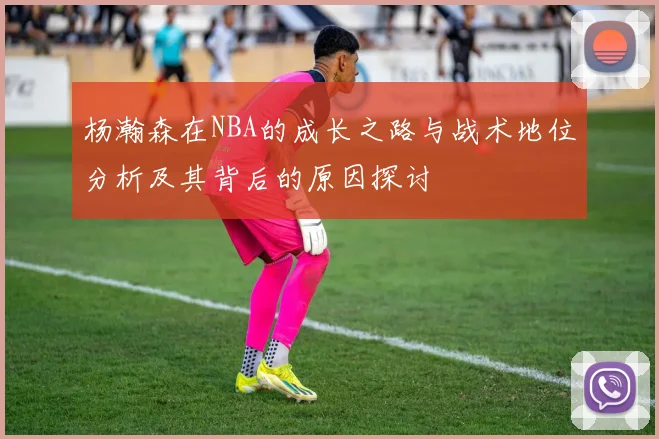 杨瀚森在NBA的成长之路与战术地位分析及其背后的原因探讨