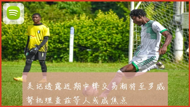 美记透露近期中锋交易潮将至罗威弩机理查兹等人或成焦点