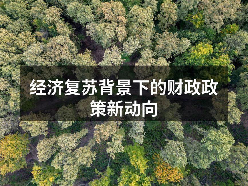 经济复苏背景下的财政政策新动向